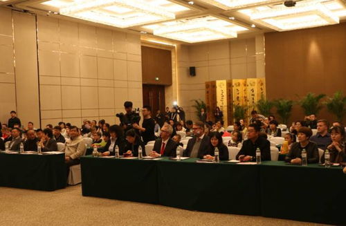 文化盛宴 濟南 城市名片 中德文化交流之旅11日啟動