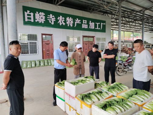 岐山縣開(kāi)展 喜迎黨的二十大 文化義診助力鄉(xiāng)村振興 活動(dòng)