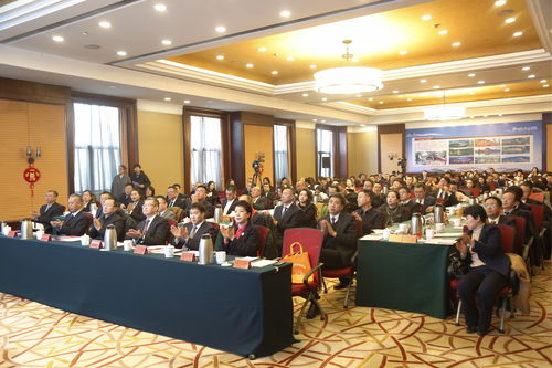 唐風(fēng)晉韻 山水晉源 以僑促轉(zhuǎn)文化經(jīng)貿(mào)交流活動(dòng)舉行