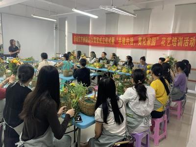 碧嶺街道:凝聚黨心服務(wù)群眾,同心共建和諧“新城”