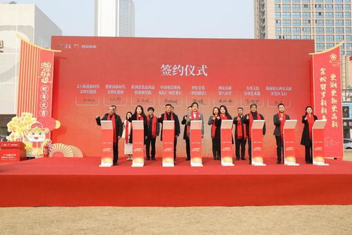 西安高新區(qū) 開展新時代文明實踐活動迎新年