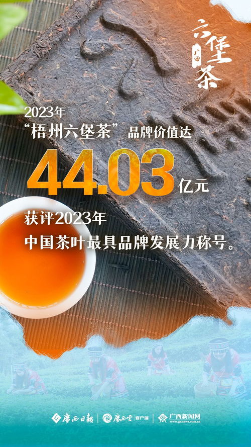 千年古茶萬里香,廣西六堡茶海外 圈粉