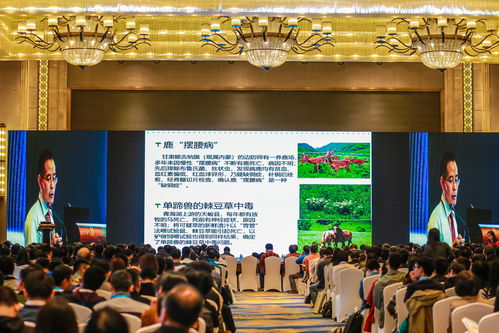 江西活動(dòng)策劃公司南昌企業(yè)年會(huì)策劃產(chǎn)品推介會(huì)策劃